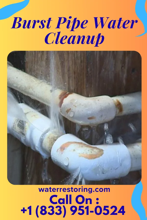 Burst Pipe Water Cleanup in Shambaugh, IA