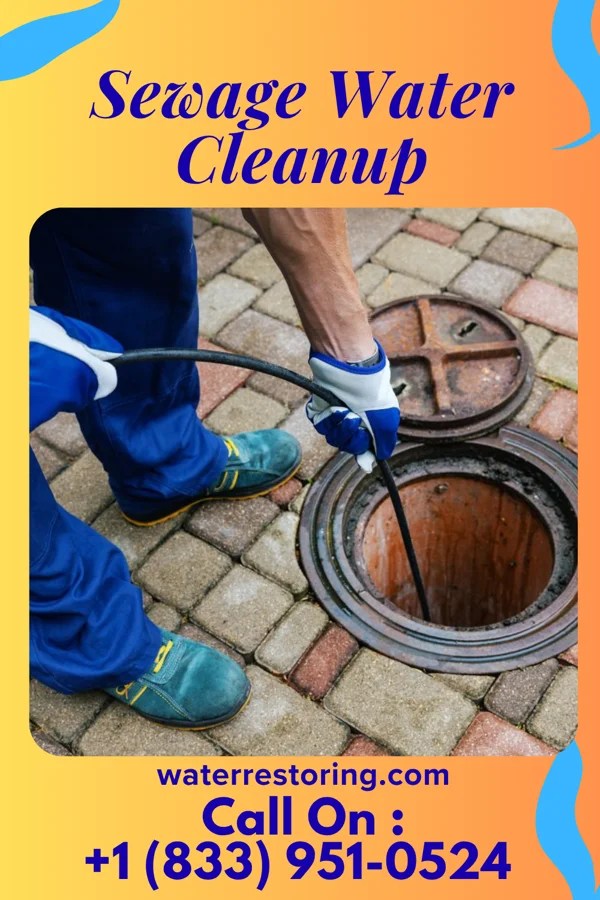 Sewage Water Cleanup in Shambaugh, IA